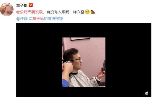 汪峰说吃瓜梗,揭秘娱乐圈背后的趣味与真相