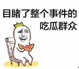 吃瓜群众涞源,揭秘当地热点事件背后的真相