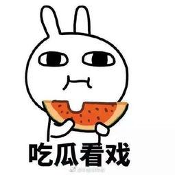 年轻网友吃瓜有错,娱乐至上的时代,我们该如何看待“吃瓜”行为?