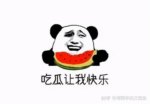大妈吃瓜文案搞笑,笑料横生,揭秘娱乐圈那些事儿