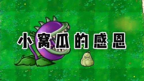 吃瓜爆料小僵尸,小僵尸的神秘世界大揭秘