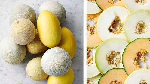 吃瓜链接网站推荐,盘点最新热门事件,带你轻松吃瓜