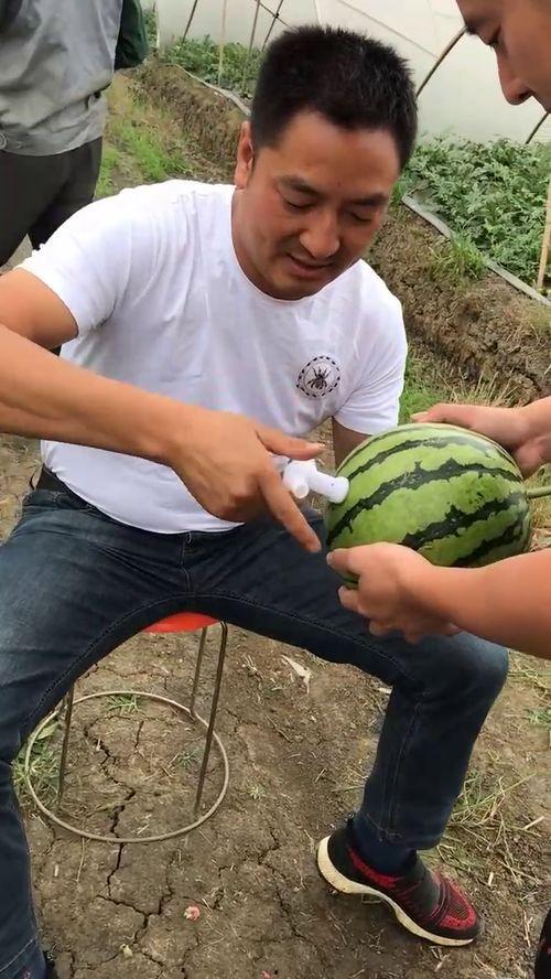 瓜哥吃瓜水龙头,揭秘瓜界新潮流