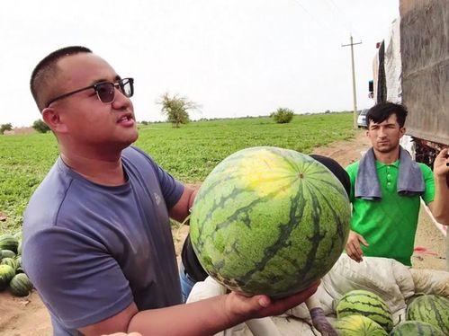 一诺无畏吃瓜事件,揭秘娱乐圈幕后真相