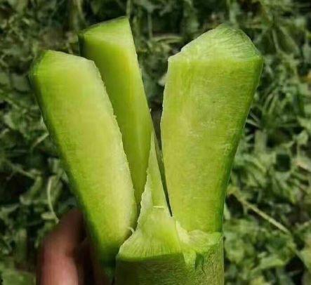 水果沙瓤瓜怎么吃减肥,轻松享受水果美味,健康瘦身两不误