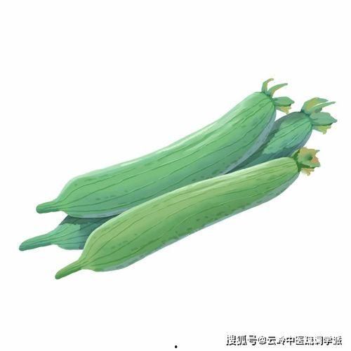 热气吃瓜,热气腾腾,尽享清凉瓜果盛宴