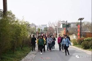 半汤三瓜公社吃瓜群众,吃瓜群众的夏日狂欢盛宴