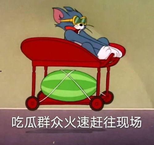 吃瓜爆料密室,一场惊心动魄的悬疑冒险之旅