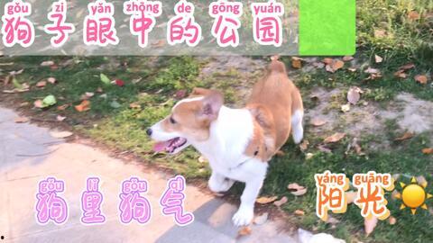 每天吃瓜的状态,我的健康生活日常