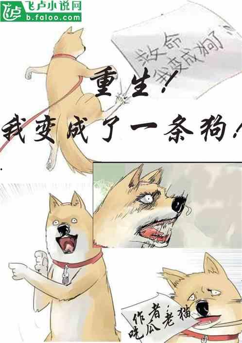 强势吃瓜完结小说,强势吃瓜者的逆袭传奇