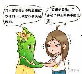 吃瓜不迷路戚然
