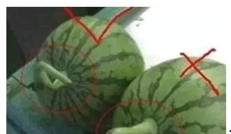 摘瓜吃瓜配乐叫什么歌,欢声笑语——揭秘经典配乐XXX背后的故事