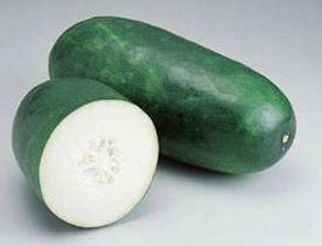 江科吃瓜原视频