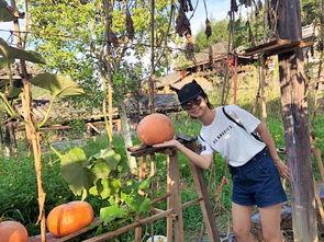 利川李温柔吃瓜,一场吃瓜盛宴背后的故事