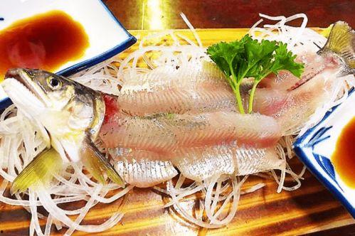 带你吃瓜鱼类,吃瓜鱼类的独特魅力与生活习性